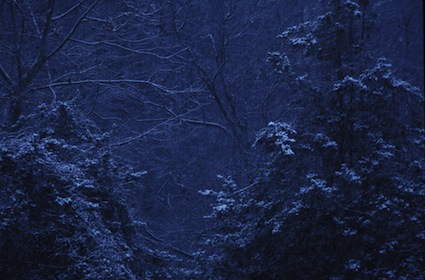 I won the Nikon Picture of the Month for this photo - Rock Creek Park - Washington DC